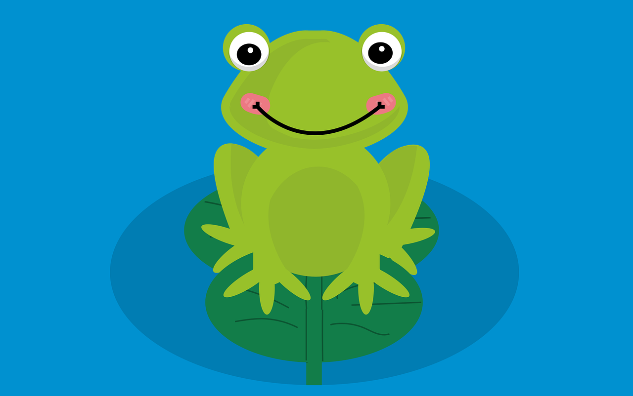 frog on pond