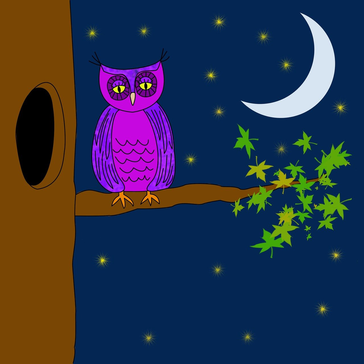 tired owl sitting on a branch, at night