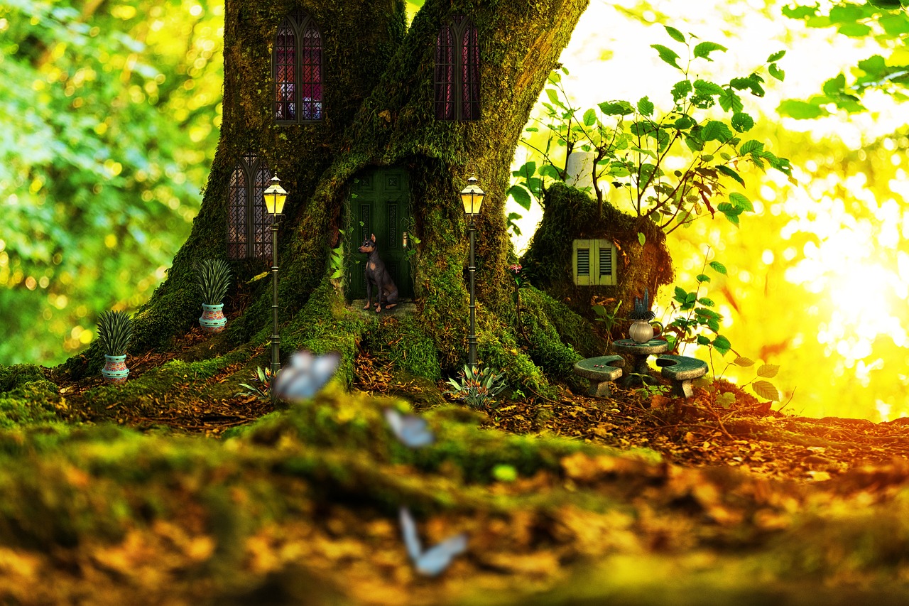 enchanted forest and a house