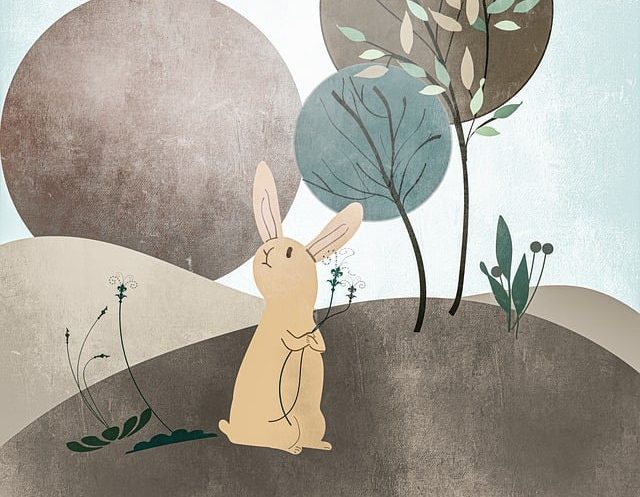 rabbit in the woods