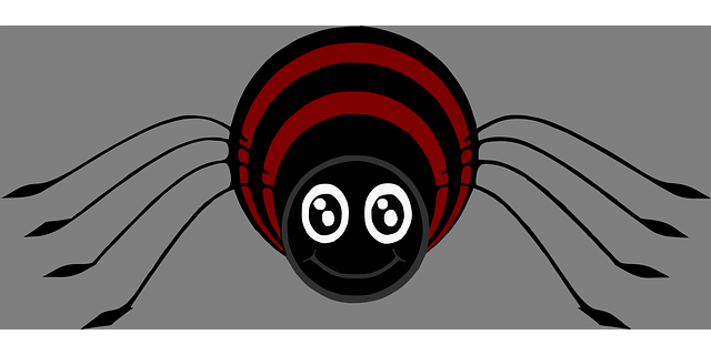 cute spider